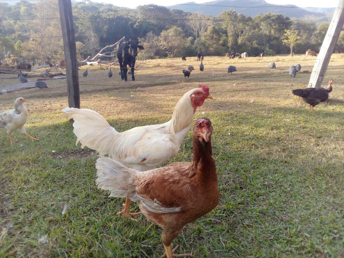 Pouso Divino dos Pireneus Pirenópolis Exterior foto